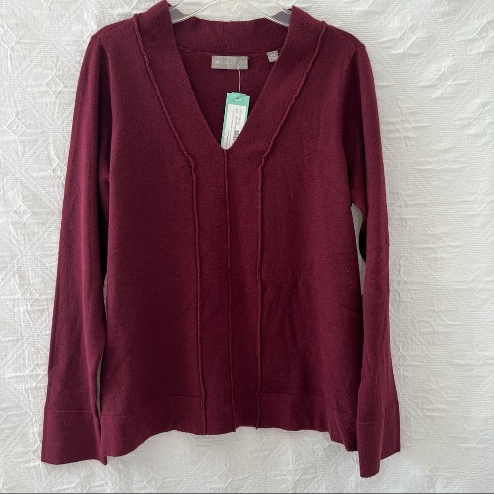 ! NWT. Evolution by Cyrus V Neck Pullover. Size PM.